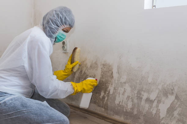 Best Biohazard Mold Removal  in Crofton, MD